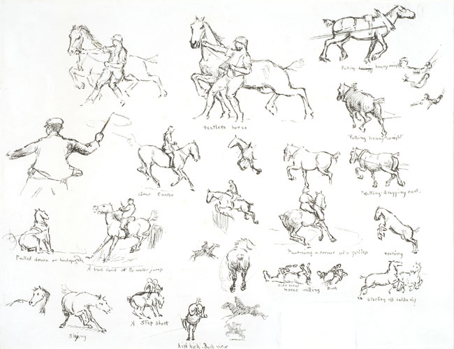 Sheet showing studies of horses showing different poses