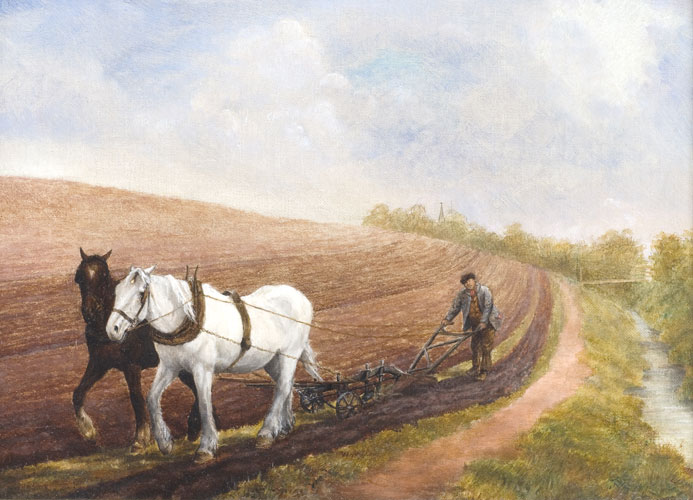 Two horses ploughing